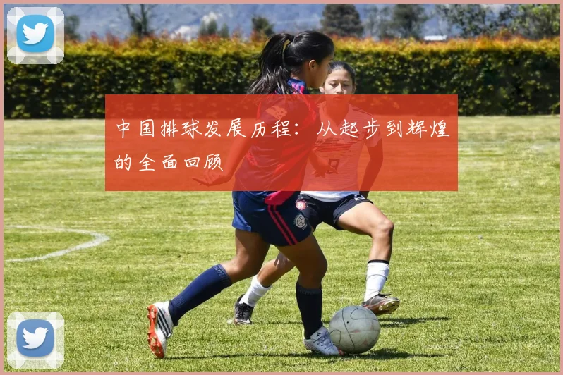 中国排球发展历程:从起步到辉煌的全面回顾